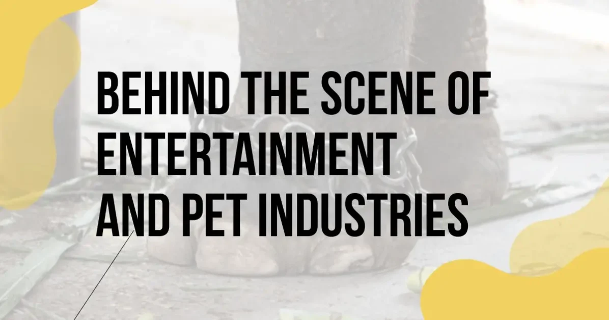 Unveiling the Reality: Animal Use in the Entertainment Industry