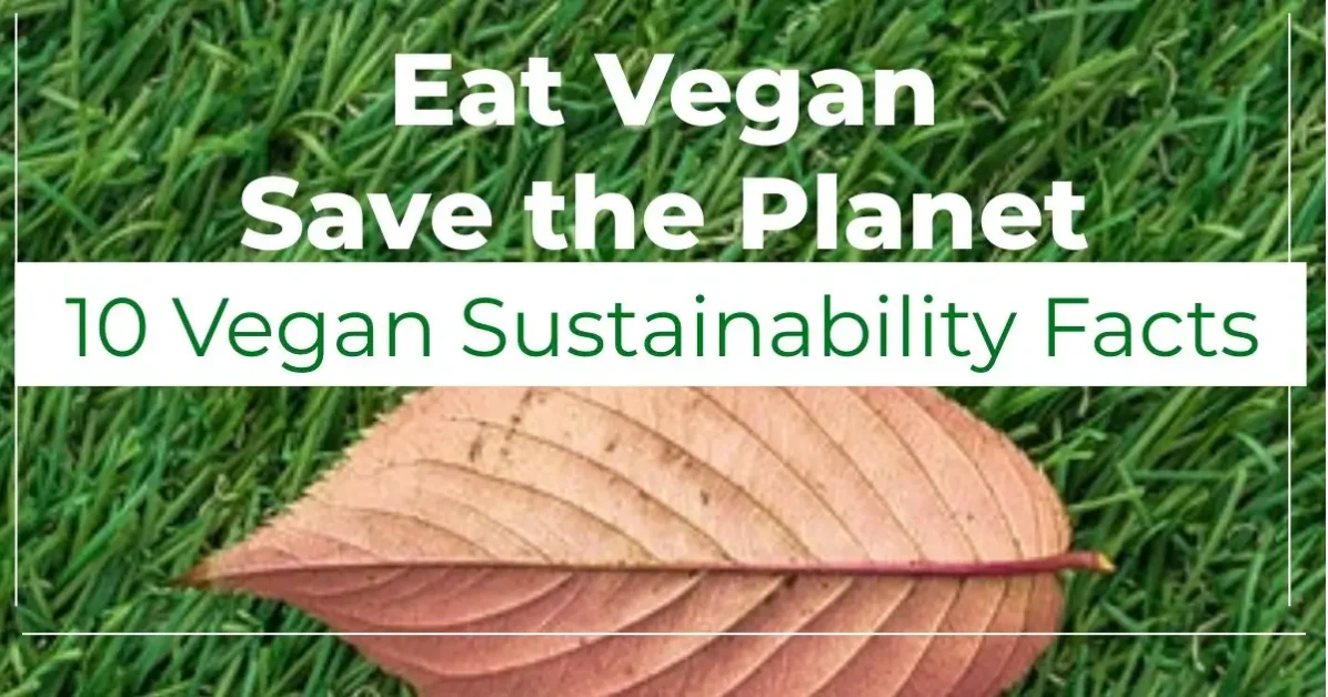 10 Vegan Sustainability Facts