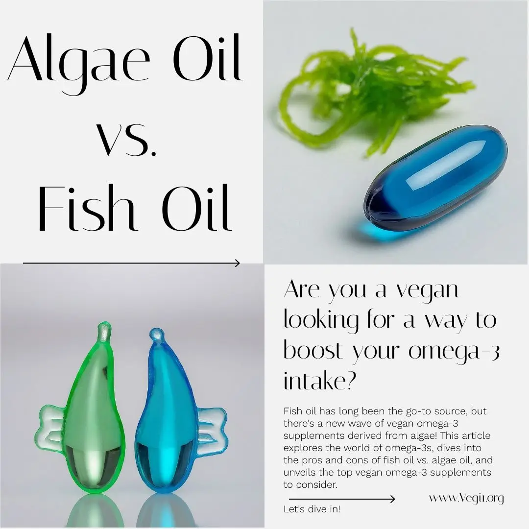 Algae Oil vs.  Fish Oil